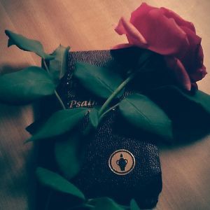 Meet your Posher, Kelsey